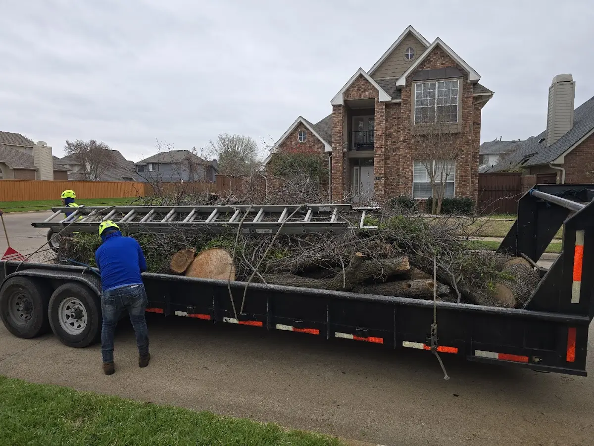 Expert Lot Clearing with proper safety equipment in Ozan
